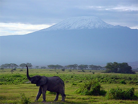 kenya.jpg
