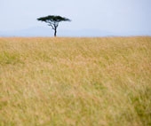kenya1.jpg