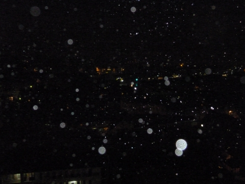 P1000054.JPG