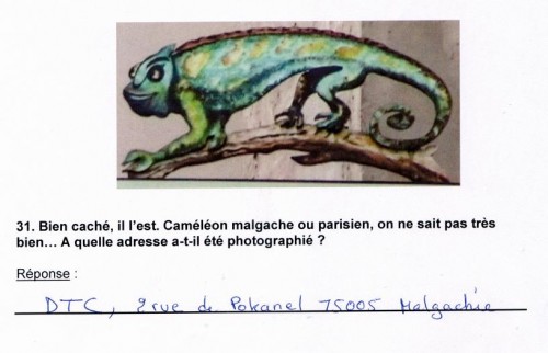 caméléon dtc.JPG