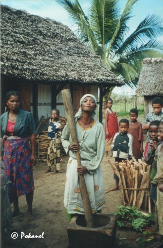 pilon manioc.JPG