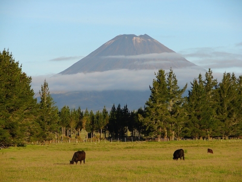 mount_ngauruhoe.jpg