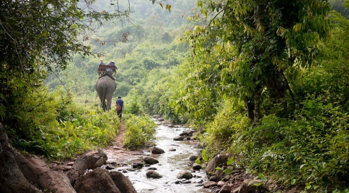 Elephant Trek Laos-19-XL.jpg