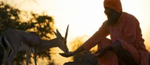 bishnoi-franck-vogel-galerie-448817-jpg_301942.jpg