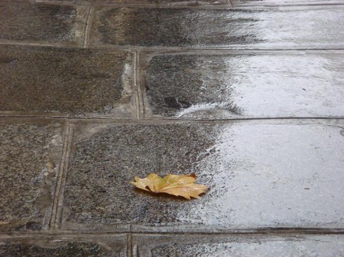 pavés des Pintades.JPG