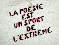 la poésie est un sport extreme.jpg