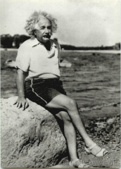 Frida einstein.jpg